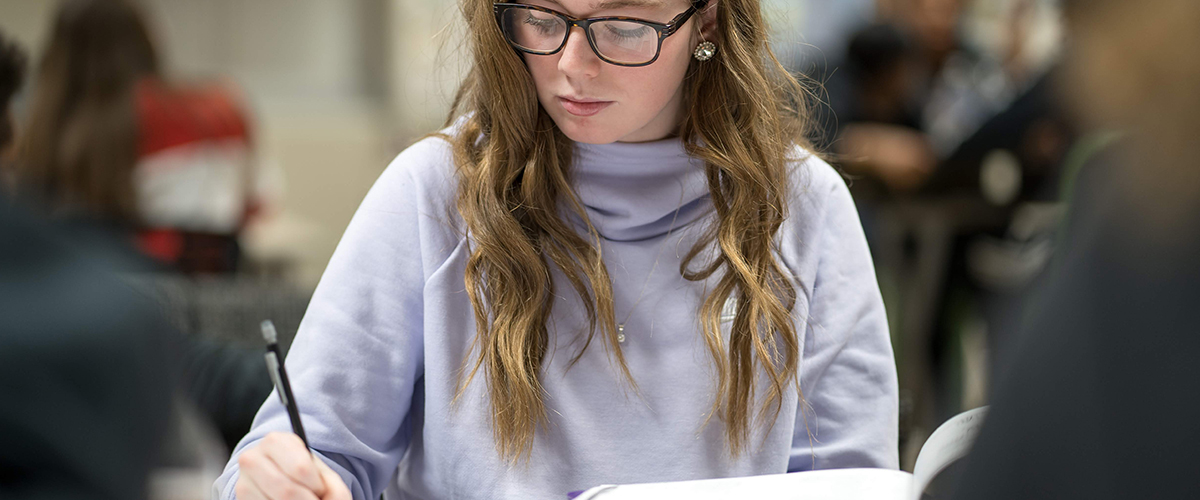 Student in Entrepreneurship