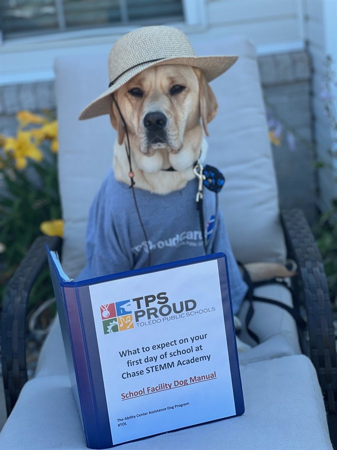 Hugo the School Facility Dog