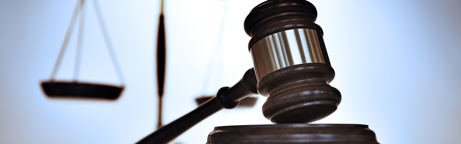 Law and Public Safety